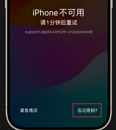 宣威苹果手机密码维修分享iPhone忘记了刚设置的密码 